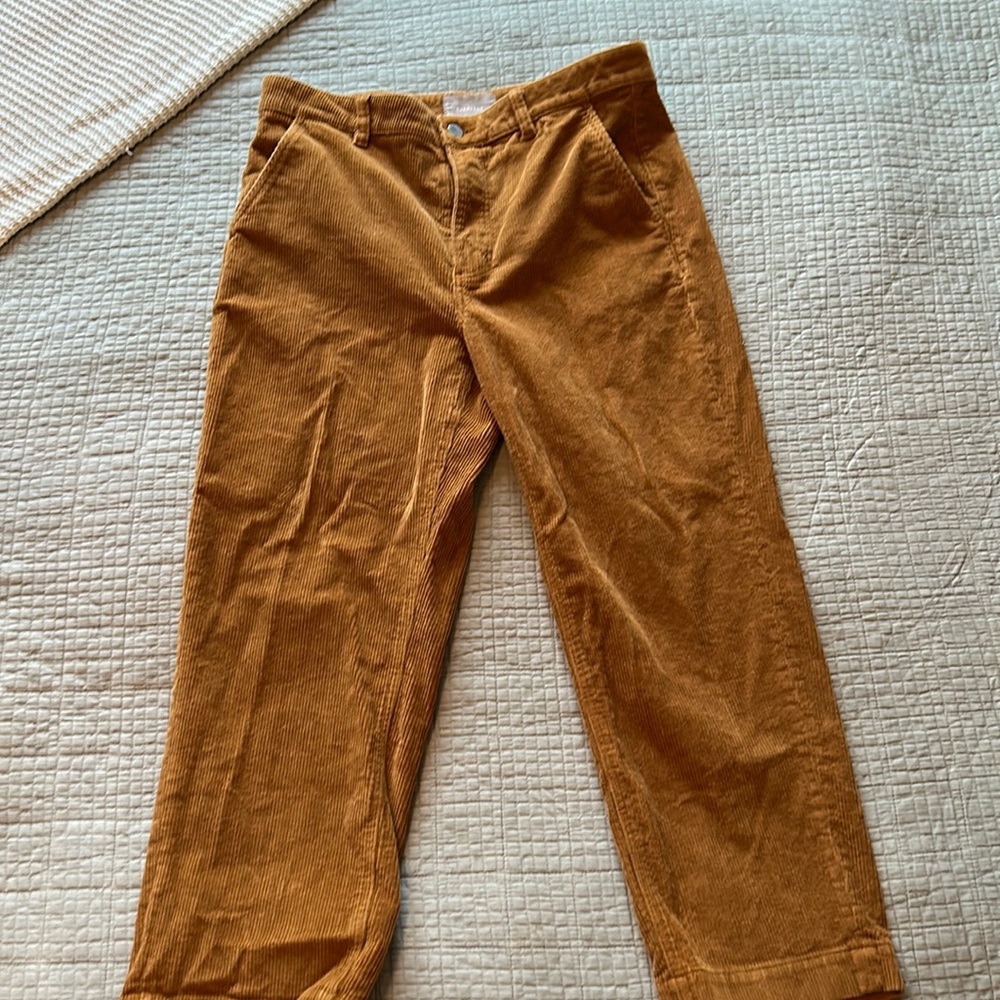 Orange Corduroy Pants (EVERLANE)